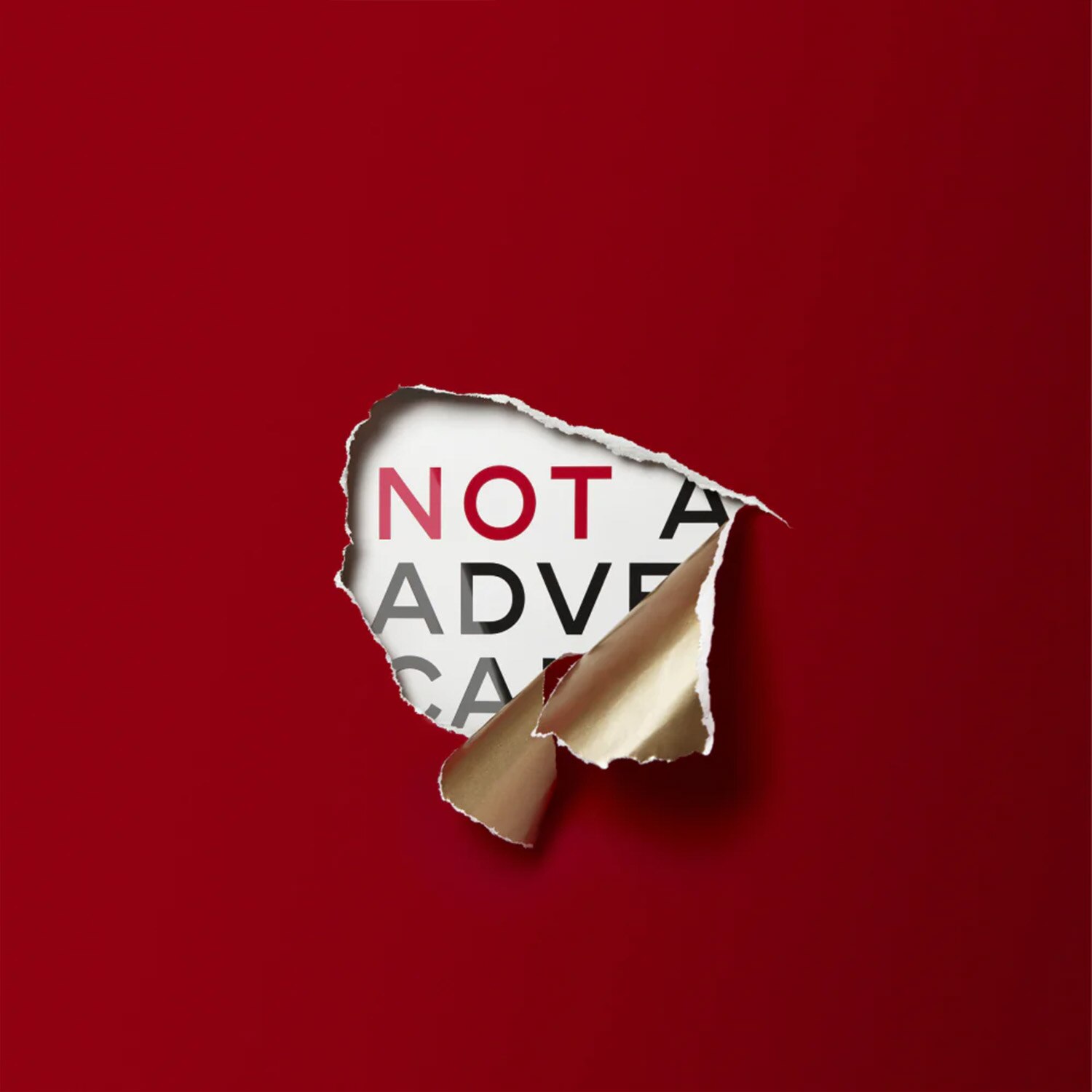 NOT AN ADVENT CALENDAR SET DE REGALO DE NAVIDAD